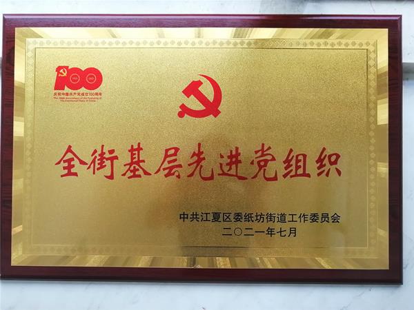 荣获“全街先进基层党组织”荣誉称号(图3)